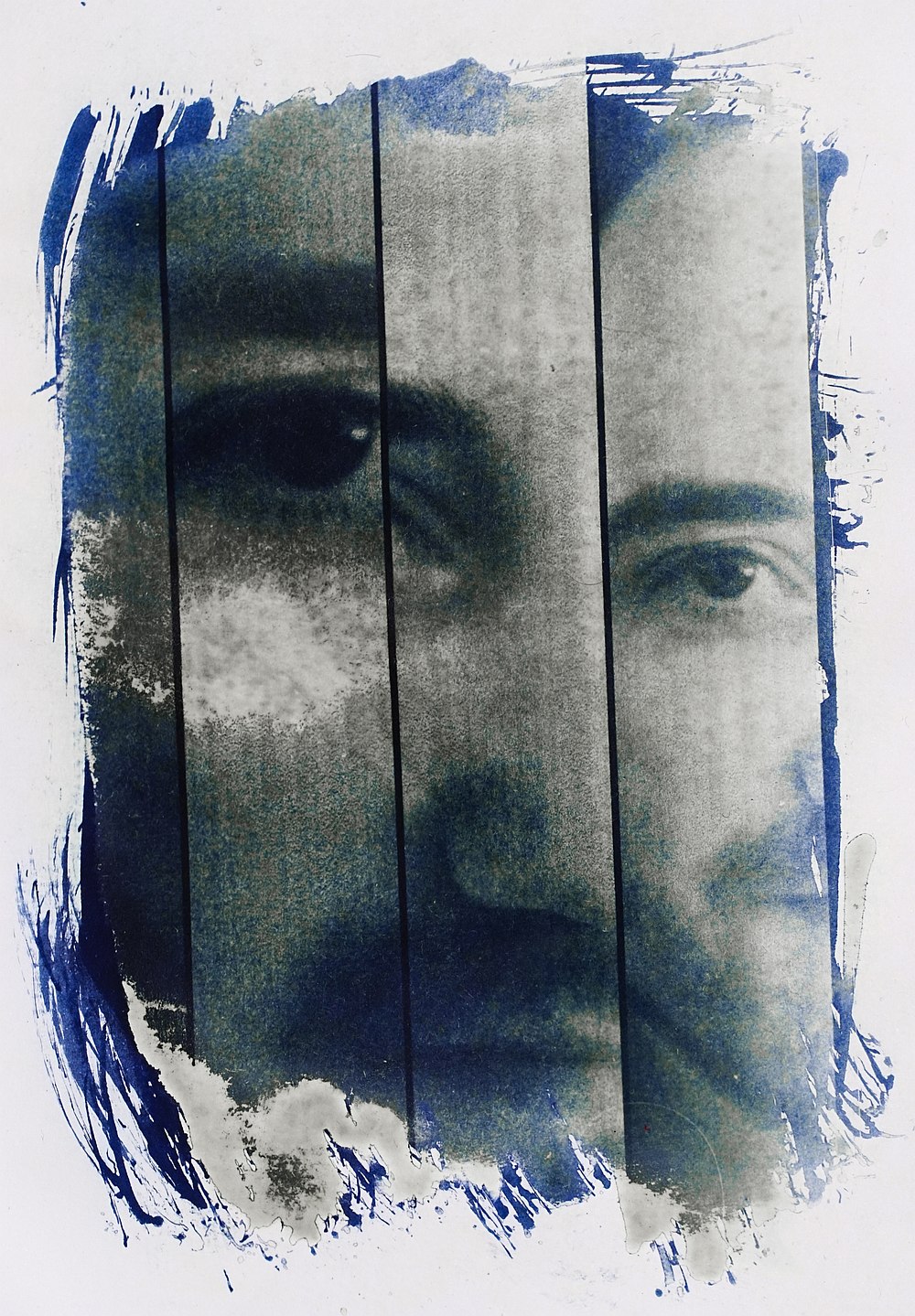 cyanotype blue print